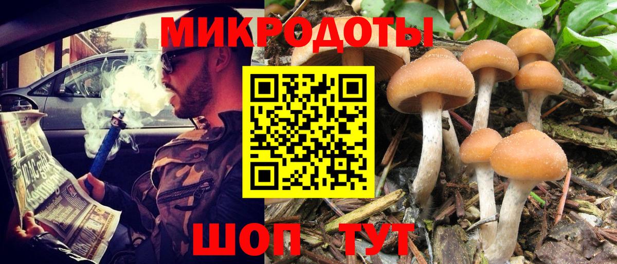 Киров  Галлюциногенные грибы прущие грибы  Вход с VPN  наркошоп  Псилоцибиновые грибы ЛСД 