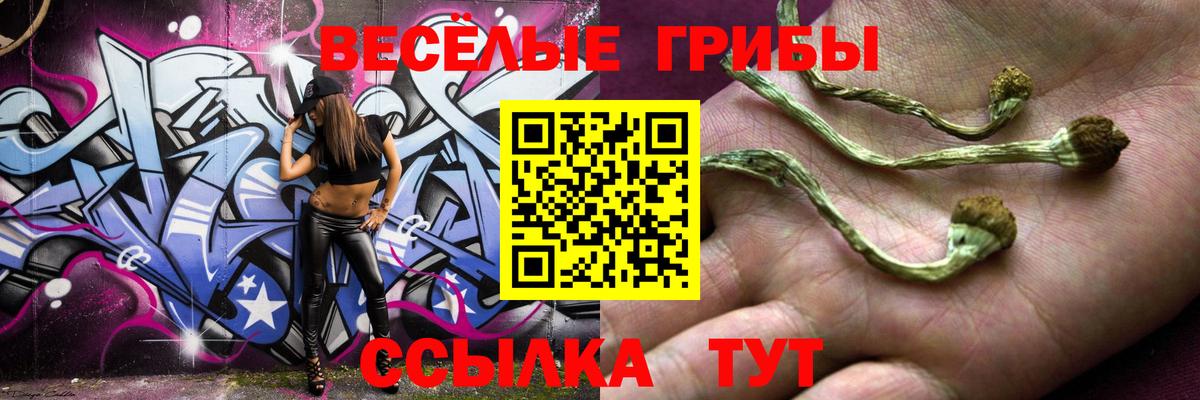 Псилоцибиновые грибы MAGIC MUSHROOMS Киров